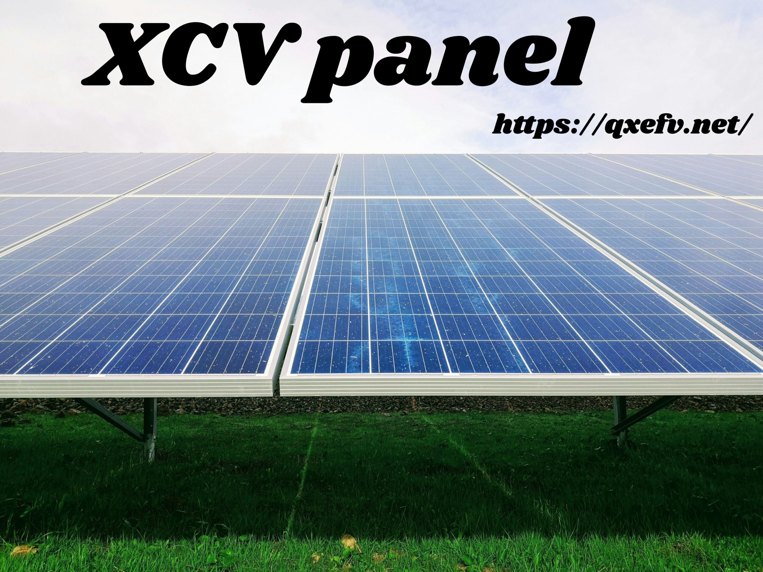 Xcv Panel